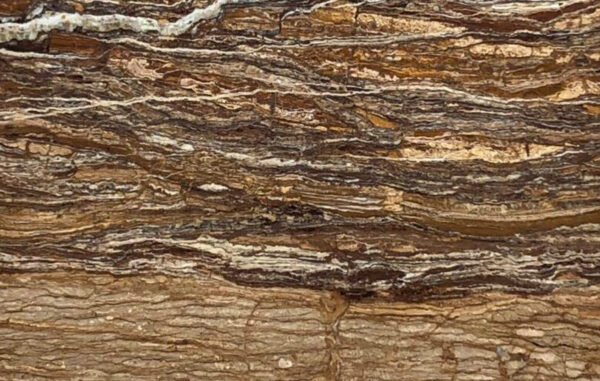 Walnut Travertine