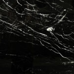 nero marquina marble