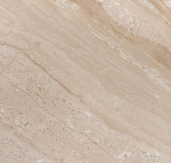 marble daino reale color beige