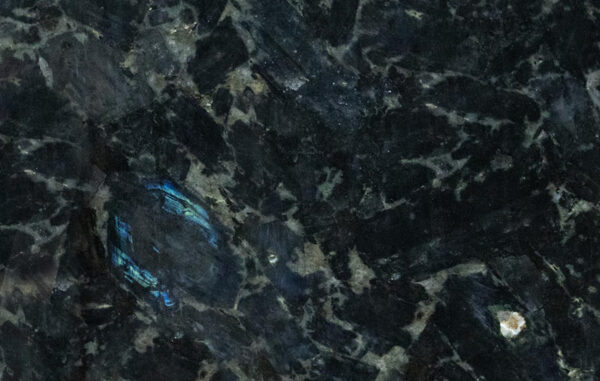 Volga Blue
