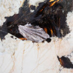 patagonia quartzite