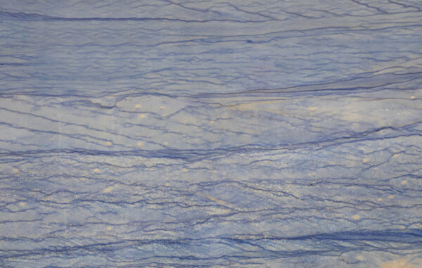 blue macaubas from brazil