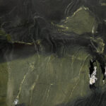 avocatus quartzite texture