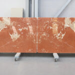 Red alicante from spain