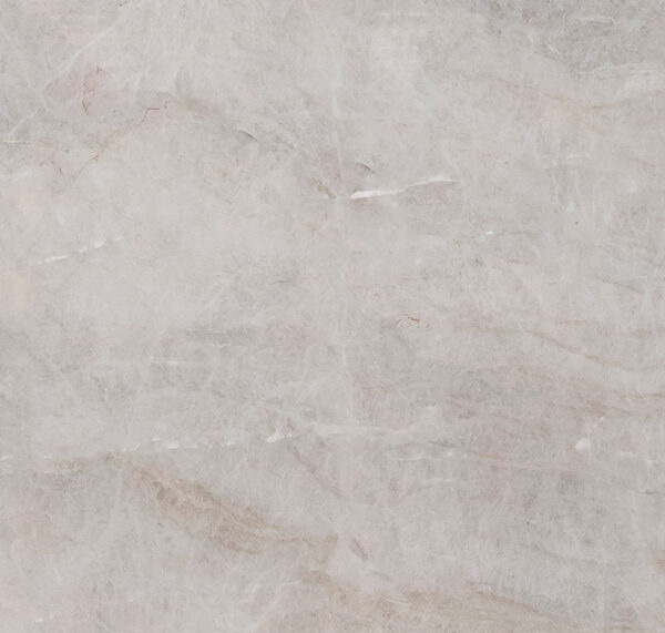 Taj mahal texture