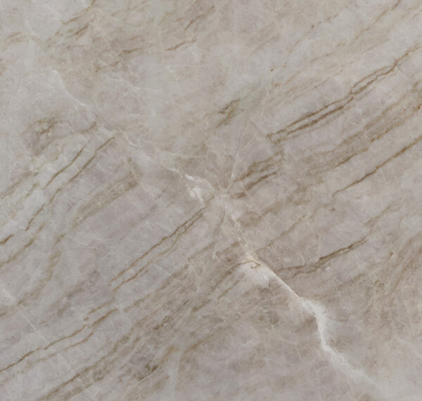 Taj mahal texture