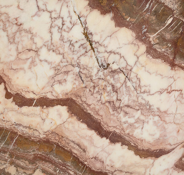 Rosa fantasy texture
