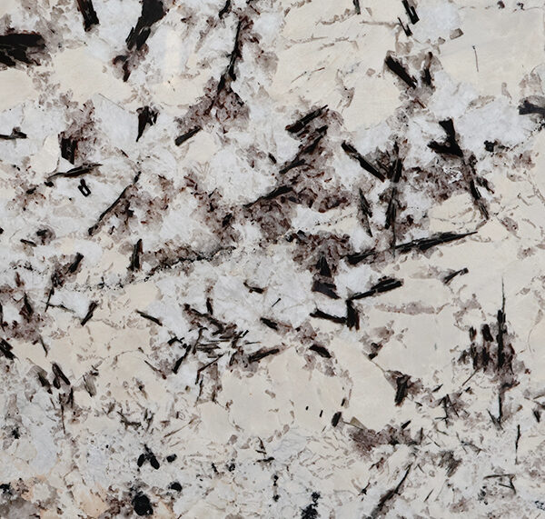 Alpinus quartzite texture