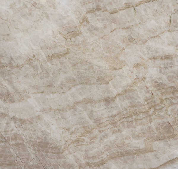 Taj mahal texture