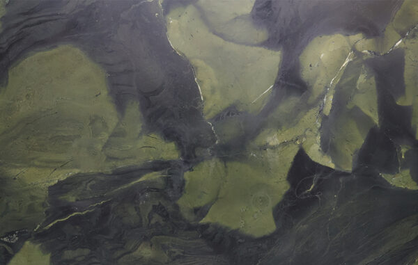Avocatus texture