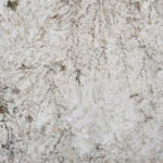 Alpinus texture