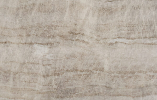 Taj mahal texture