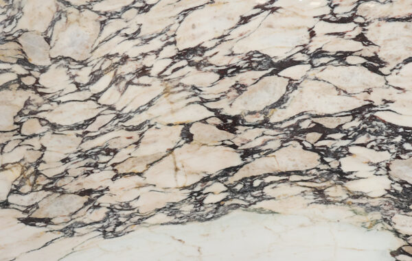 Calacatta viola texture