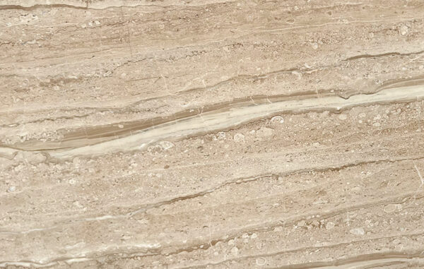 Daino reale texture