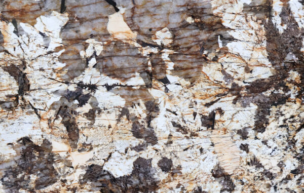 Patagonia texture
