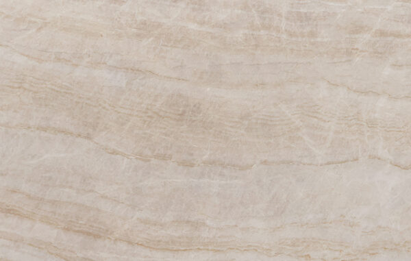 Taj mahal texture