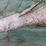 Patagonia green texture