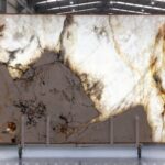 Patagionia traslucida