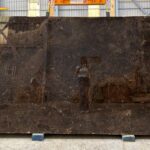 Dark emperador for flooring