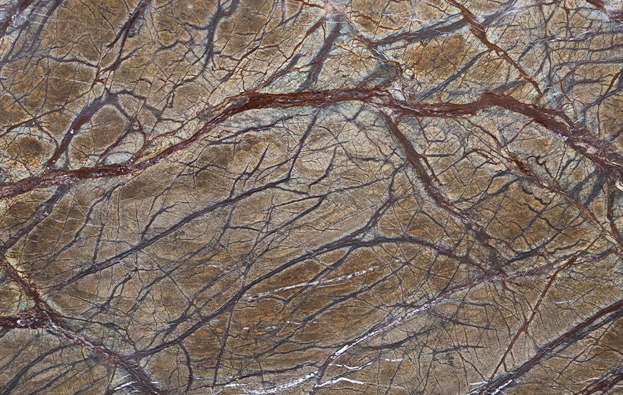 rainforest brown marble