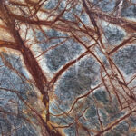 Rainforest brown texture