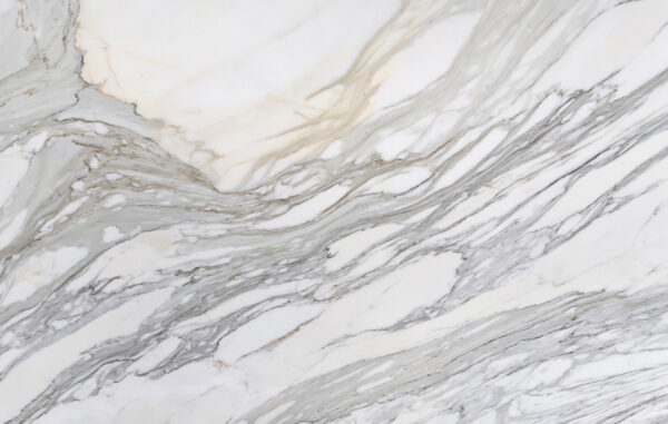 Calacatta borghini texture