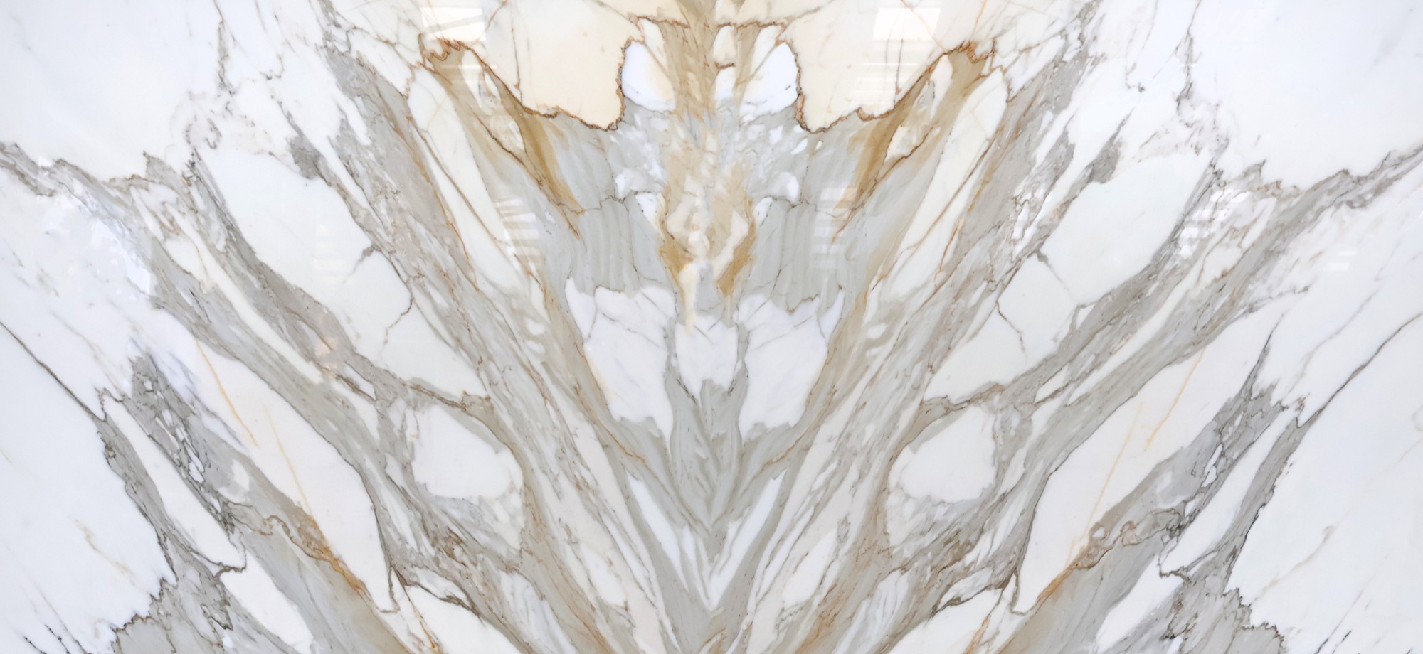 Bookmatch calacatta borghini