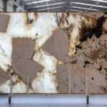 Patagonia traslucent