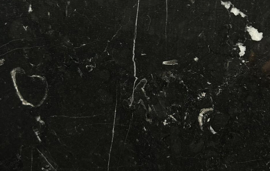Nero Marquina Marble – FNM0738