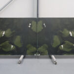 Avocatus in slabs