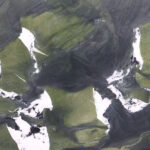 Avocatus texture