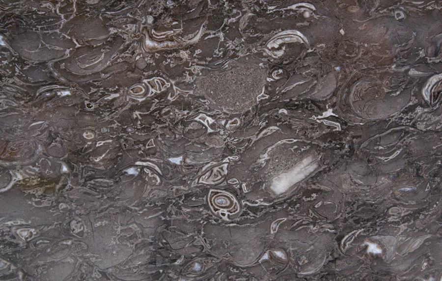 Grey khenifra marble