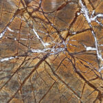Rainforest brown in slabs