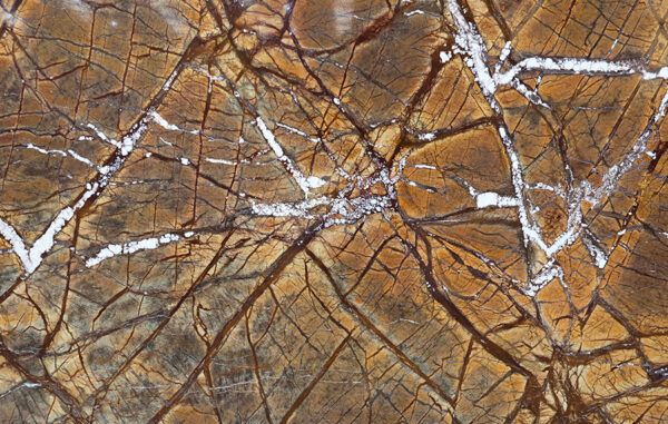 Rainforest brown in slabs