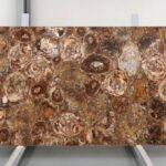 Petrified wood