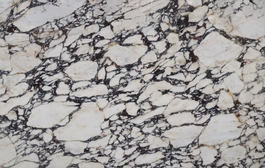 Calacatta Viola Marble – FCT0107